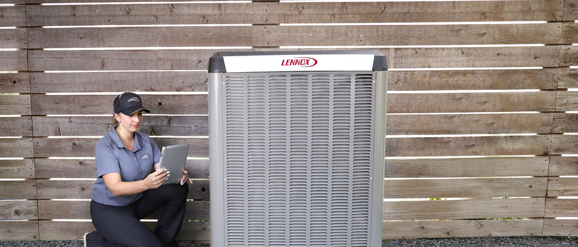 Dealer inspecting AC wattage