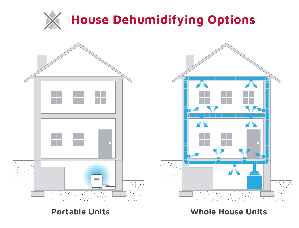 Diagram comparing portable and whole-house dehumidifiers.jpg