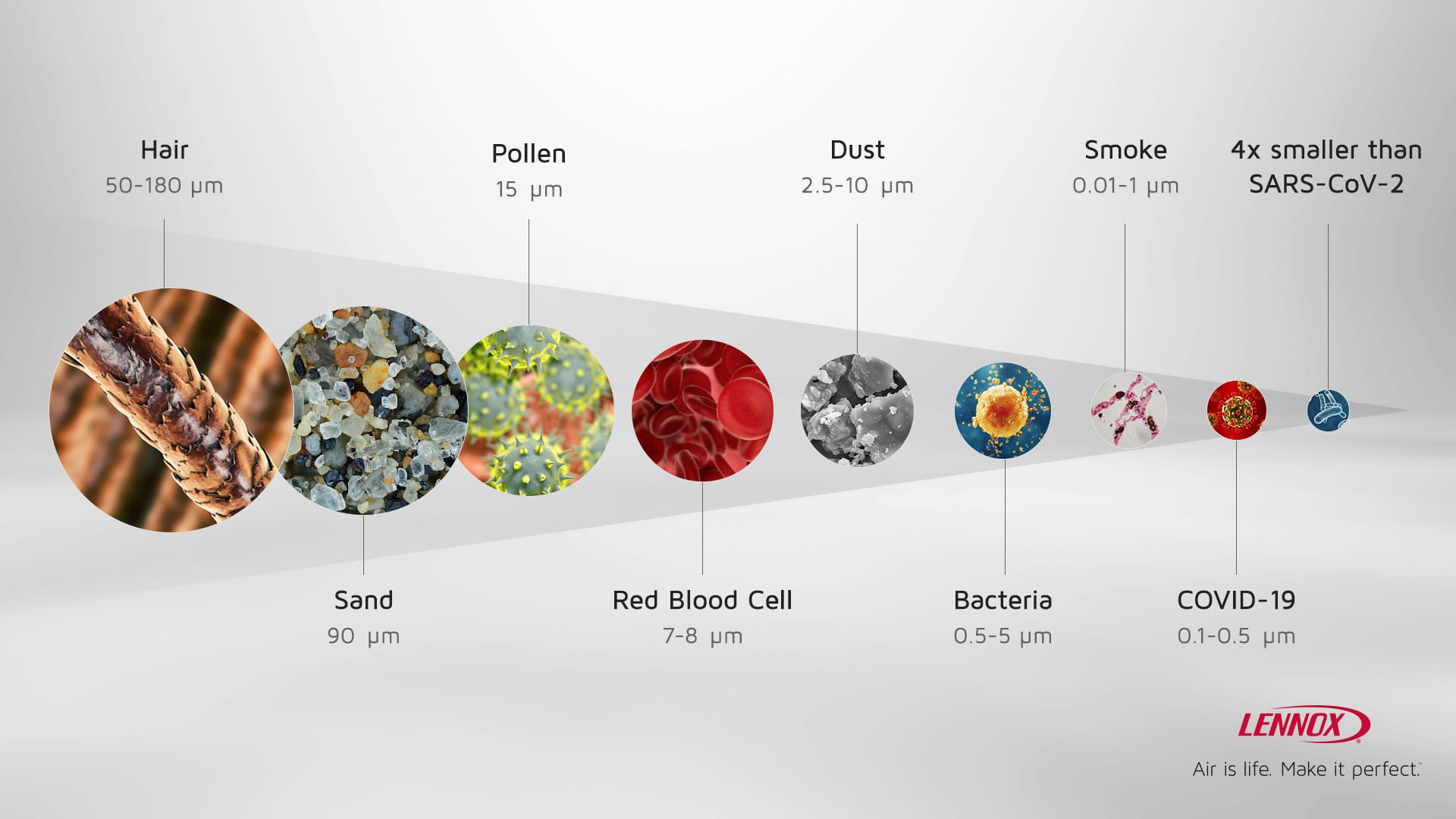 Lineup of household allergens