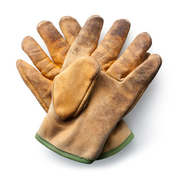 Pair of gardening gloves