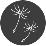 Particle icon