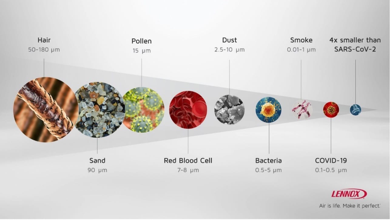 infographic displaying size comparison of COVID -19